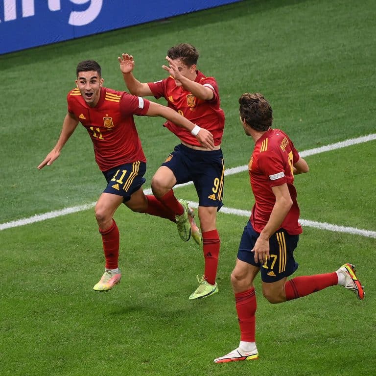 Spain Euro Squad: 29-man provisional list released