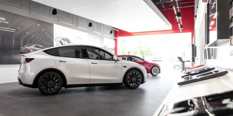 Tesla reports record Revenue in 2022 with record EV sales