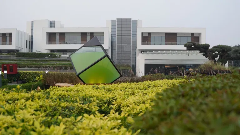 DS Group Unveils India’s First Outdoor Liquid Tree for Sustainability!