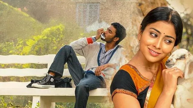 image 1434 png KuttyMovies Download: Latest KuttyMovies Collection in 2025