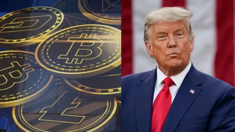 Bitcoin Dramatic Plunge: Navigating Trump’s Tariff-Induced Market Turbulence