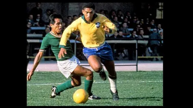 Manoel francisco dos santos