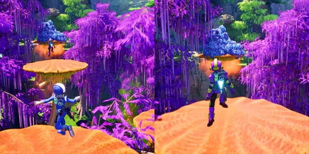 Co-op