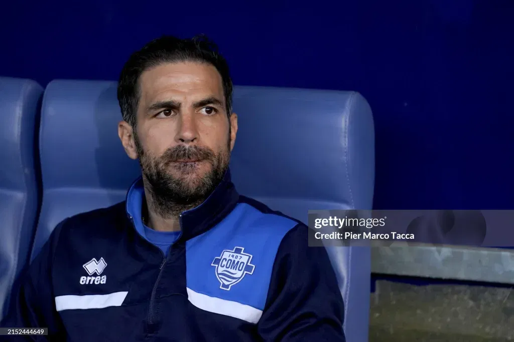 Cesc fabregas