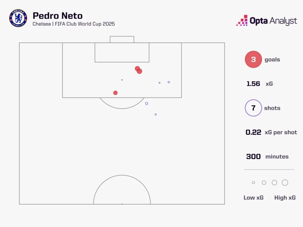 Pedro neto