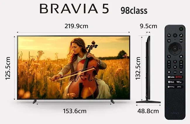 Sony bravia 5 1