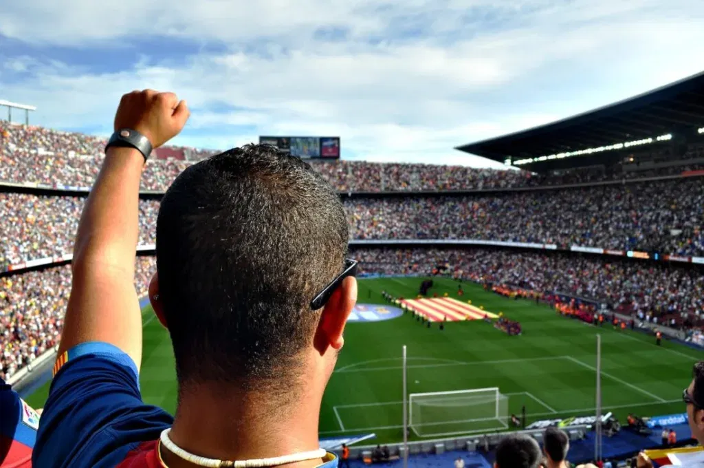 Why sports fans are loving random video chats after big games 1