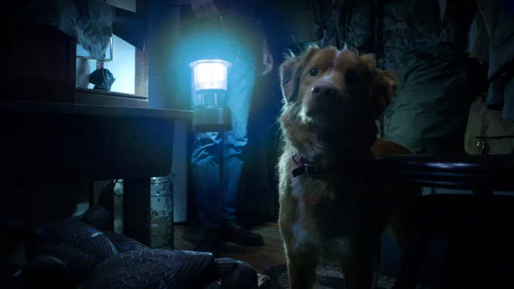 Ben leonbergis the director of good boy