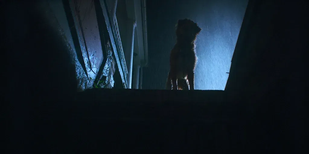 Good boy horror movie