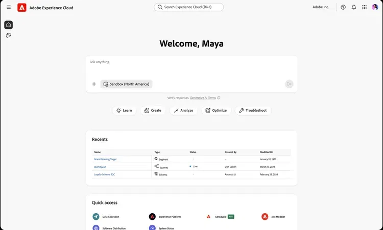Adobe ai 3