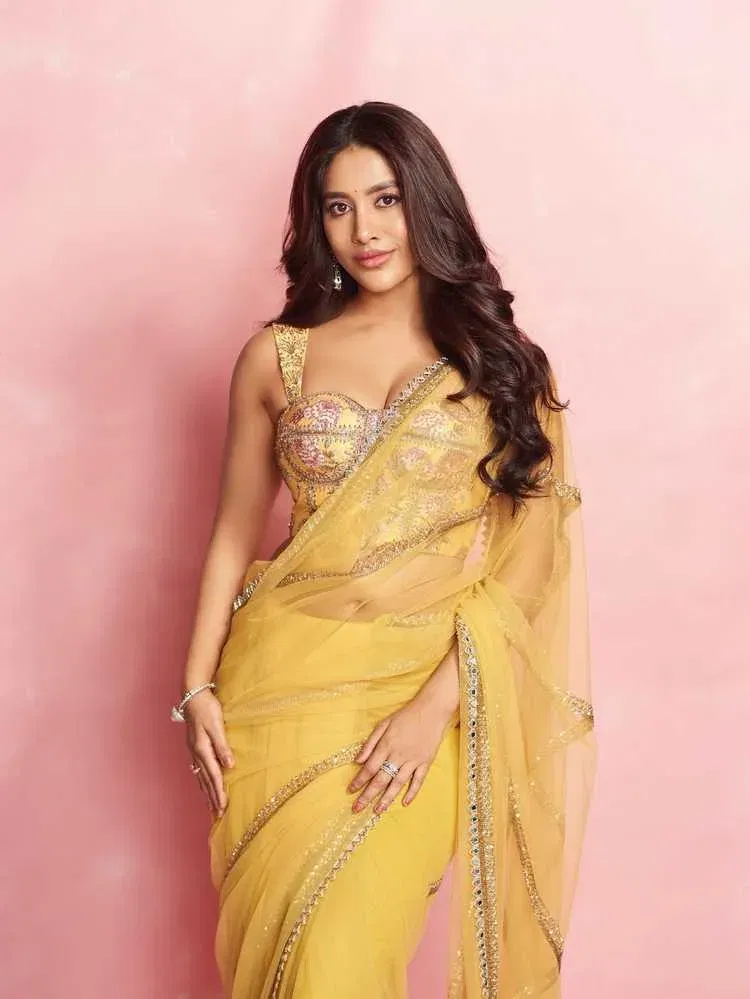 Nabha Natesh