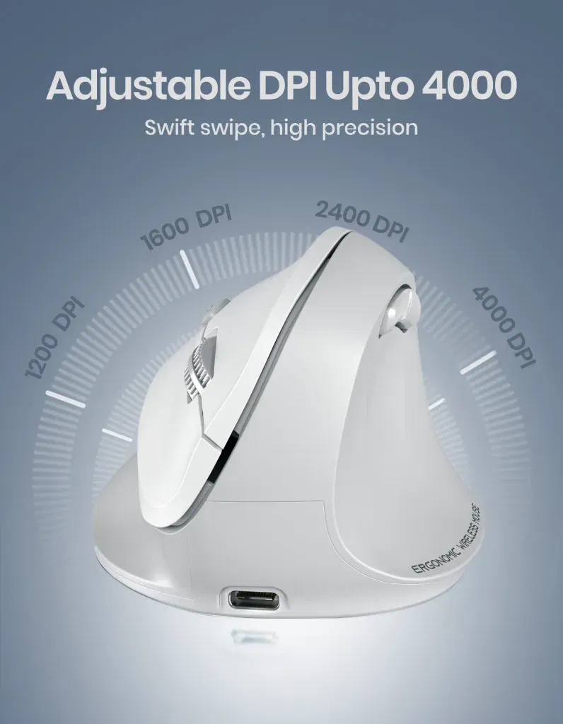 Toad Ergo 4